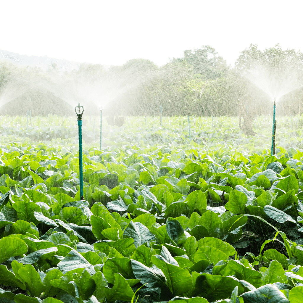 Commercial irrigation